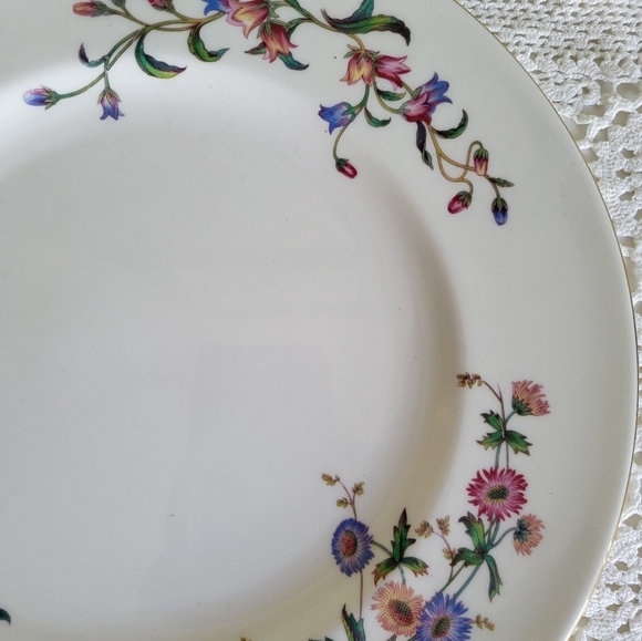 Pair of Wedgewood Devon Sprays Dinner Plates - Picture 3 of 5